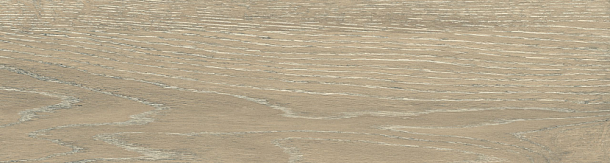 Фото Керамогранит DW02 Dream Wood Latte Неполированный 14,6x60x8 Россия