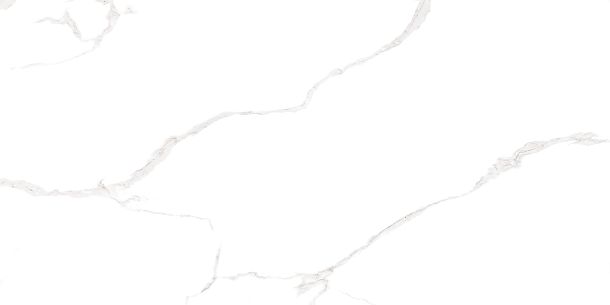 Фото Плитка Elemento Bianco Carrara 250x500x9 (WT9ELT00) Россия