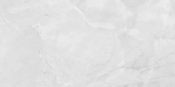 Фото Керамогранит Laparet LP6012G0231R Berna Silver светло-серый матовый 59,5х119,1 Россия