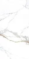 Керамогранит Carrara Gold Mat 120x240 (NTT3000M)