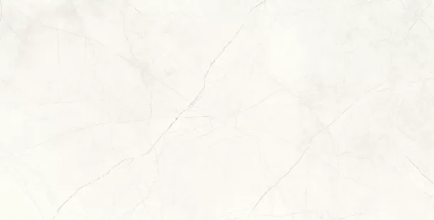 Фото Керамогранит Splash Bianco белый Сатинированный Карвинг 60х120 Индия