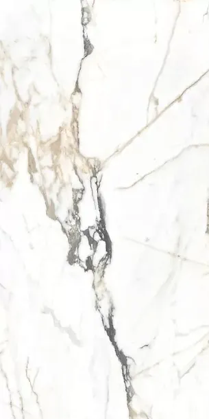 Фото Керамогранит Alpas Eco Marble 6582 Polished 60x120 Индия
