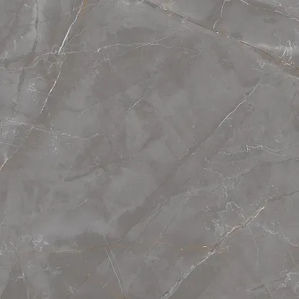 Фото Керамогранит Laparet Lp6060G0051R Timeless Taupe Серо-Бежевый Матовый Карвинг 59,5Х59,5 Россия