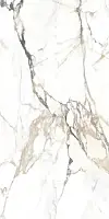 Керамогранит Alpas Eco Marble 6582 Polished 60x120 Индия Фото Керамогранит Alpas Eco Marble 6582 Polished 60x120
