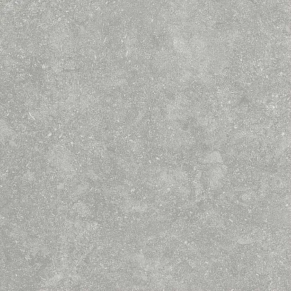 Фото Керамогранит Alpas Fossil Gris 20mm 60x60 Индия