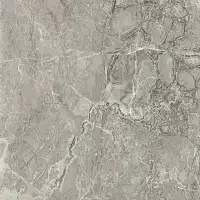 Фото Керамогранит Imola Ceramica BRE DU6 120 RM 120x120