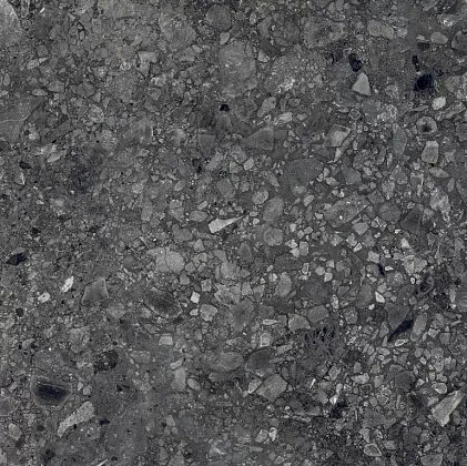 Фото Керамогранит Alpas Terrazo Nero 20mm 60x60 Индия
