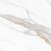 Фото Керамогранит Protiles Bianco PT60J7058 Carving 600х600х9