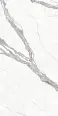 Керамогранит Protiles PT12P7002 Calacatta Pol 1200х600х9