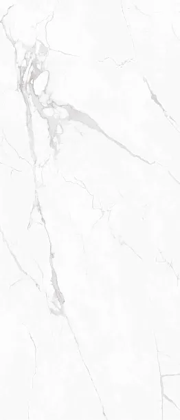 Фото Керамогранит Marble White 120x280 (NTT3605P) Индия