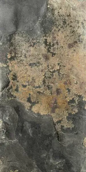 Фото Керамогранит Dado Ceramica 004079 Roccione Beige Out 15.3x31 Италия