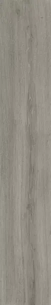 Фото Керамогранит Dado Ceramica 304121 Ikon Alps Rett 20x122 Италия