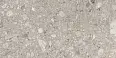 Керамогранит Ariana Ceramica 0002949 Futura Cenere Nat Ret 60х120