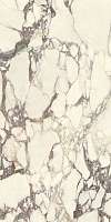 Керамогранит Marmi Classici Calacatta Viola 120x60 luc. rett. (PL612671) Фото Керамогранит Marmi Classici Calacatta Viola 120x60 luc. rett. (PL612671)