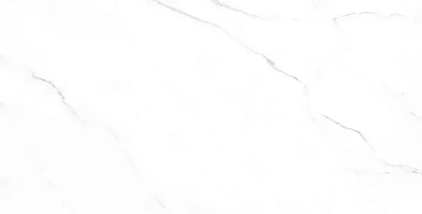 Фото Керамогранит Ennface ENMAR1005MT60120 Carrara Bianco Matt 120x60x0.9 Индия