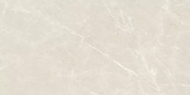 Фото Керамогранит Eternal ETSTN1226MT60120 Liceo Pearl Matt 60x120 Индия