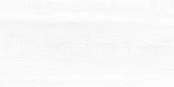 Плитка WT9BRE00 Briole White 249*500*7.5 для ванной Фото Плитка WT9BRE00 Briole White 249*500*7.5 Россия