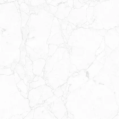 Фото Керамогранит Impero Carving 60x60 (NTT995180M) Индия