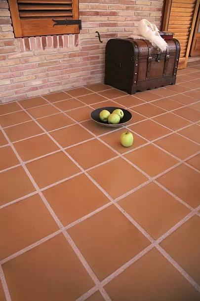 Фото Клинкерная плитка 901001 Natural 25*25 Испания