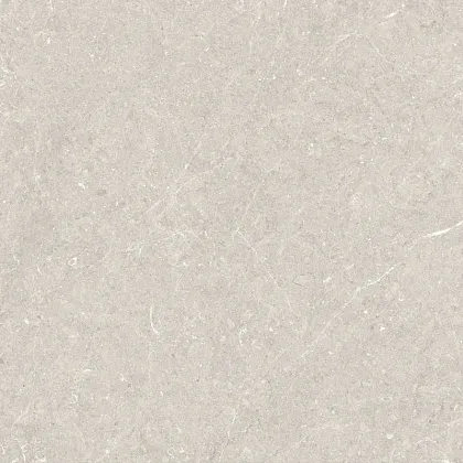 Фото Керамогранит Argenta Bergstein Ivory Matt Rect 60x60 Испания