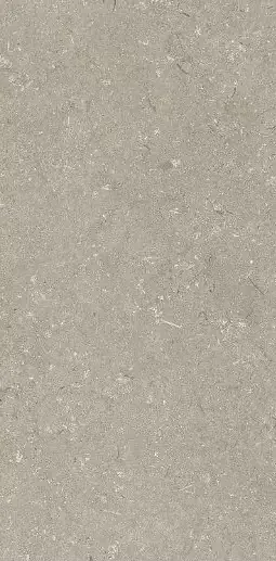 Фото Керамогранит Dado Ceramica 005468 Shellstone Taupe 60x120 Италия