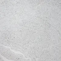 Фото Керамогранит ZERDE TILE R1LG0HH05GRR5 Lagos Light Grey 2cm 58x58