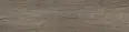 Керамогранит Kerama Marazzi Лимба бежевый тёмный матовый обрезной 20x80x0,9 (KM2080G0051R)