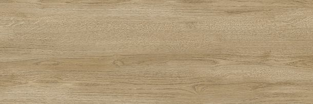 Фото Плитка Woodstyle Oak 300x900x10,5 (WT93WOS21) Беларусь