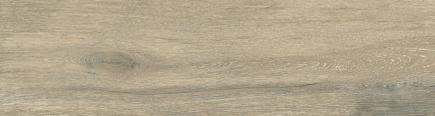 Фото Керамогранит DW02 Dream Wood Latte Неполированный 14,6x60x8 Россия