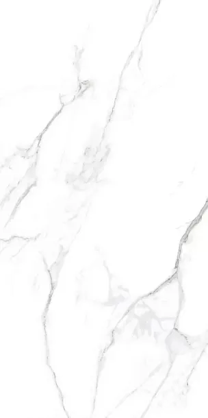 Фото Керамогранит Statuario Matt 60x120 (BHW-0005) Китай