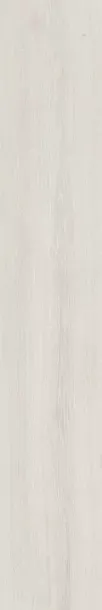 Фото Керамогранит Dado Ceramica 303801 Ikon Birch Rett 20x122 Италия