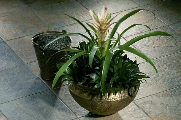 Фото Керамогранит SG908300N Сланец темный 30*30 керамический гранит Россия