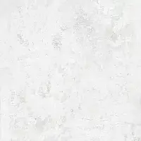 Фото Керамогранит ABS2662 Java Pearl 80x80