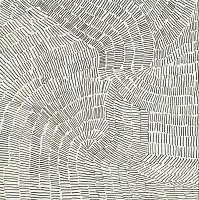 Фото Керамогранит Refin LT83 Fossil Brown Rett 60x60