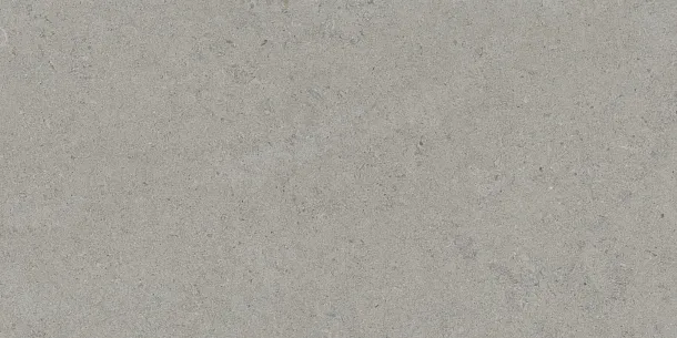 Фото Керамогранит Tau Ceramica Calcare Silver 60x120 Испания