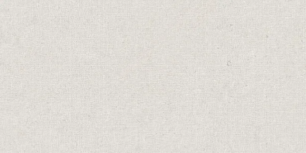Фото Декор Tau Ceramica DC. Calcare White 60x120 Испания