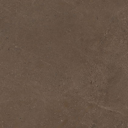 Фото Керамогранит GO03 Gobi Brown Grey неполированный 60x60 Россия