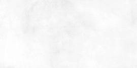 Плитка Richard 249x500 (TWU09RCD000) Фото Плитка Richard 249x500 (TWU09RCD000)