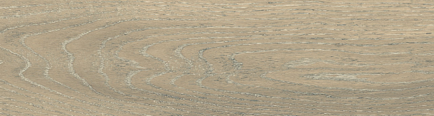 Фото Керамогранит DW02 Dream Wood Latte Неполированный 14,6x60x8 Россия