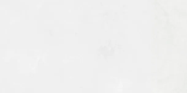 Фото Плитка Laparet 48030R Evolution Blanco Матовый Обрезной 40X80 Россия