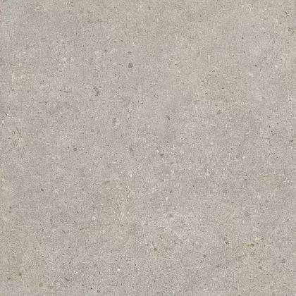 Фото Керамогранит SG653720R Риккарди серый светлый матовый обрезной 60x60 Россия