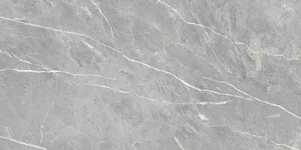 Фото Керамогранит Ennface ENSTN8003LM60120 Marcasite Glossy 60x120 Индия