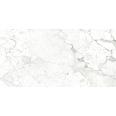 Керамогранит Breccia Bianco 60х120