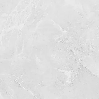 Фото Керамогранит Laparet LP6060G0241R Berna Silver светло-серый матовый 59,5х59,5 Россия