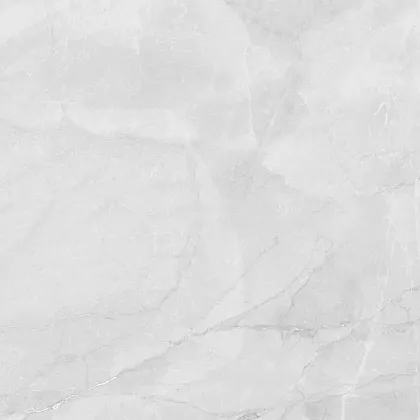 Фото Керамогранит Laparet LP6060G0241R Berna Silver светло-серый матовый 59,5х59,5 Россия