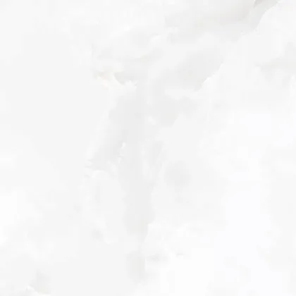 Фото Керамогранит Laparet Onyx Blanco Pro Светло-Серый Матовый R11Soft 60Х60 Индия