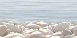 Фото Декор Del Mare 249x500 (DWU09DLM604)