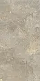 Керамогранит Cercom 10893241 Everbrown Rett (P) 60х120