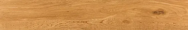 Фото Керамогранит Tau Ceramica Ragusa Camel 20x120 Испания
