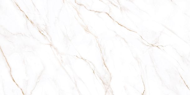 Керамогранит Neo Calacatta матовый 600x1200x8,5 (GFU60120NCL04R) для гостиной, для кухни, для ванной, для туалета, для спальни, для прихожей, на теплый пол Фото Керамогранит Neo Calacatta матовый 600x1200x8,5 (GFU60120NCL04R) Россия